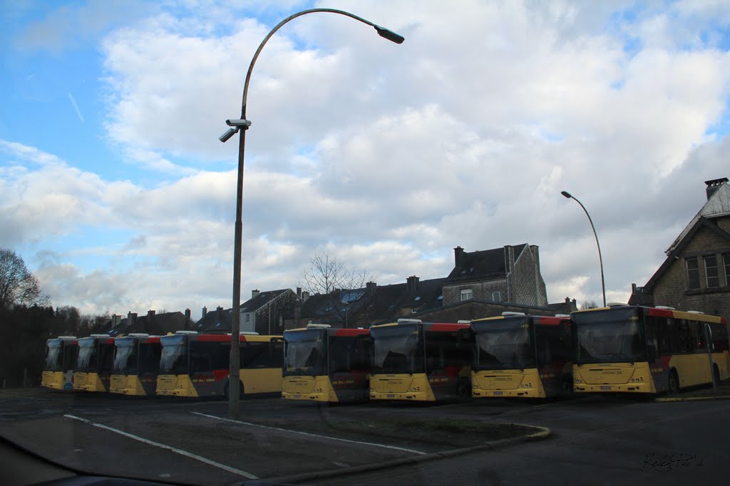 BuS