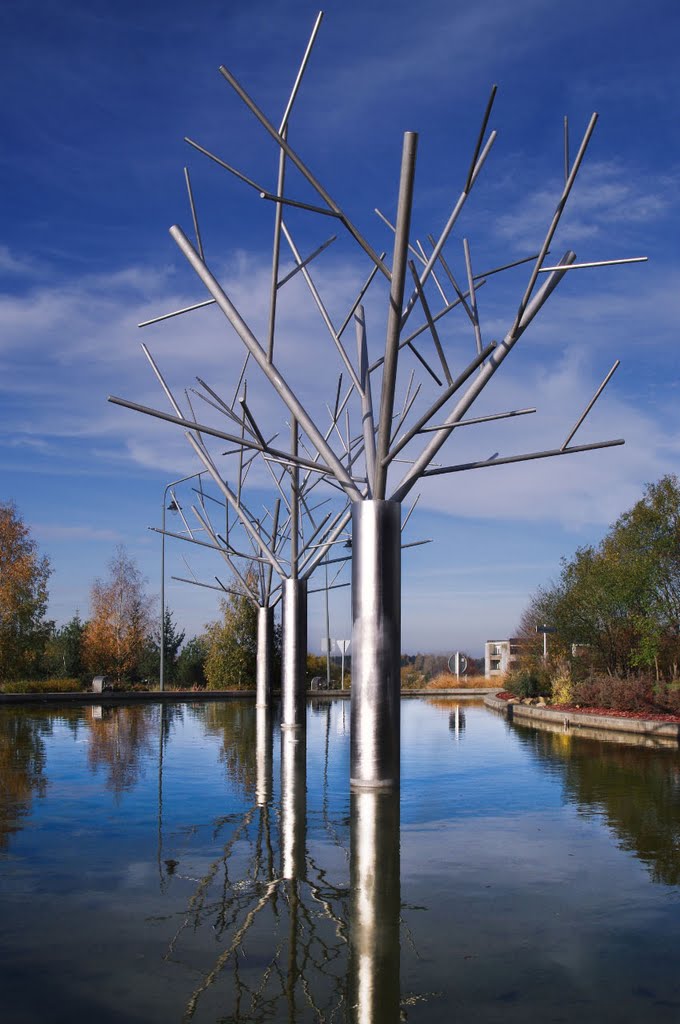 Arbres de fer, Avenue Jean-Baptiste Nothomb, Arlon