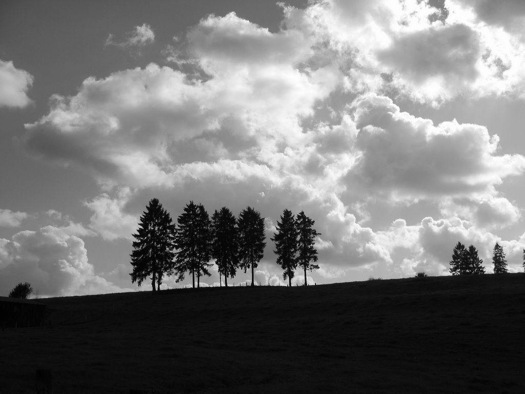 Summerclouds