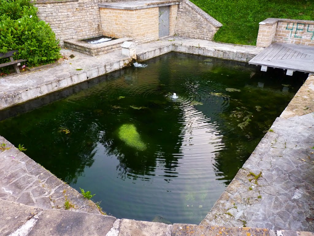 Source de la Semois