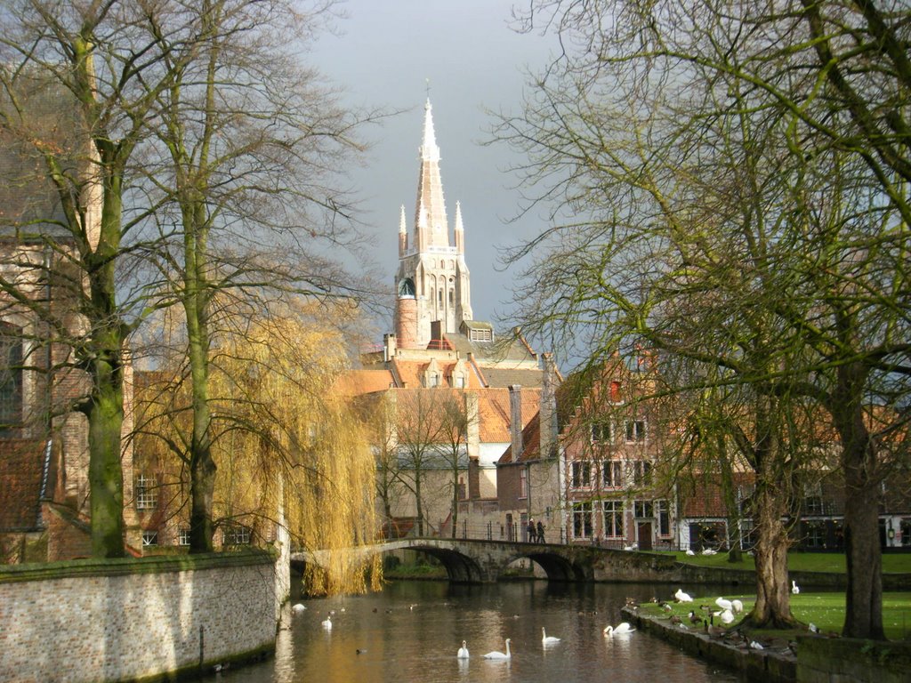 Brujas 10