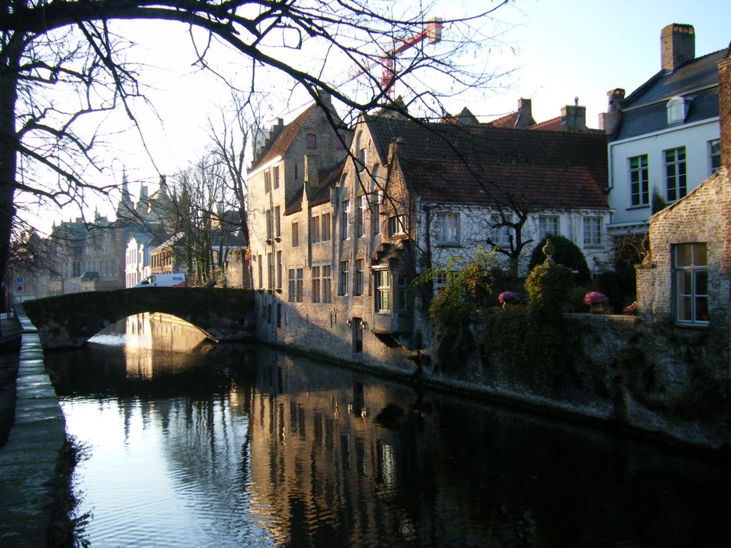 Brujas 12