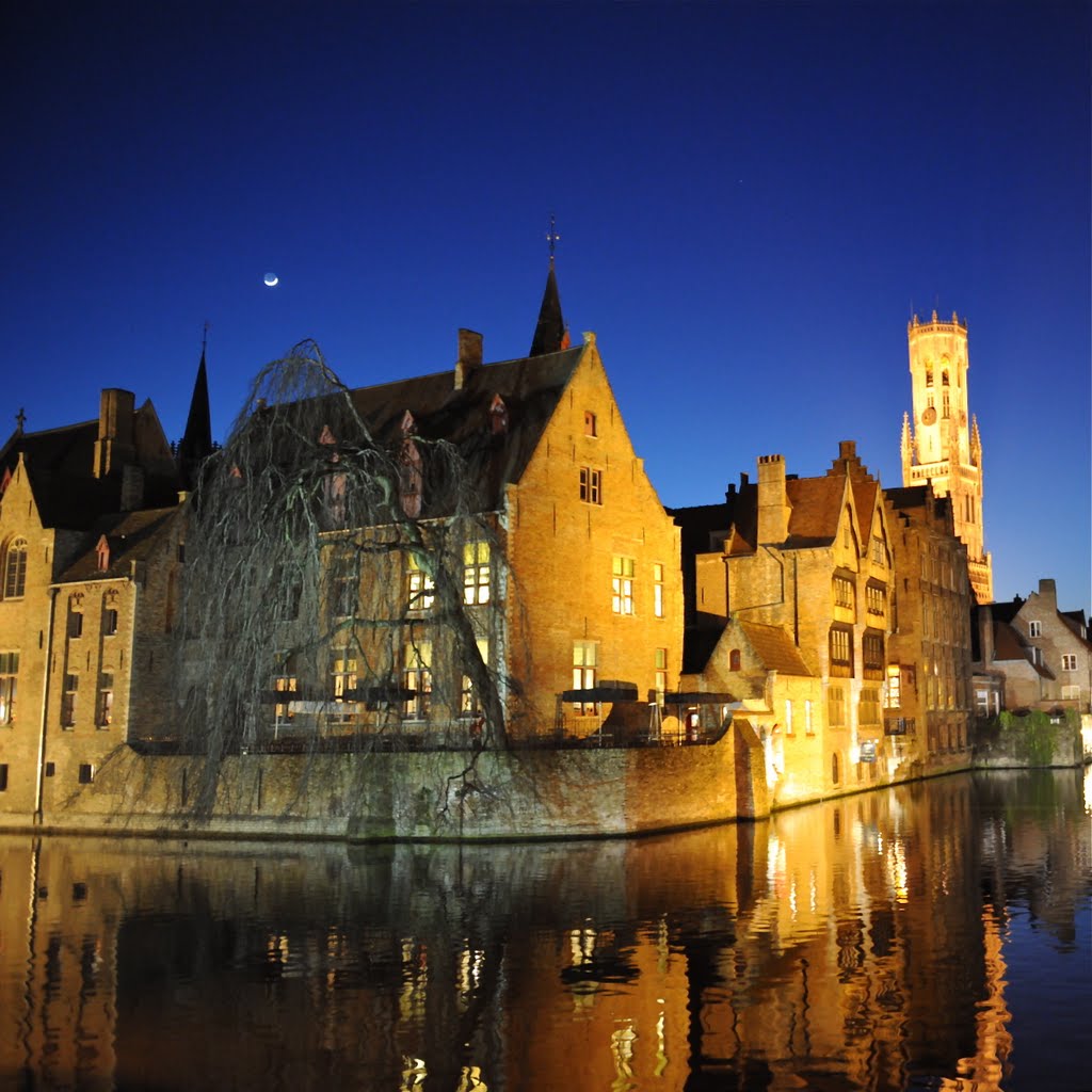 Saule pleureur à Bruges , la nuit