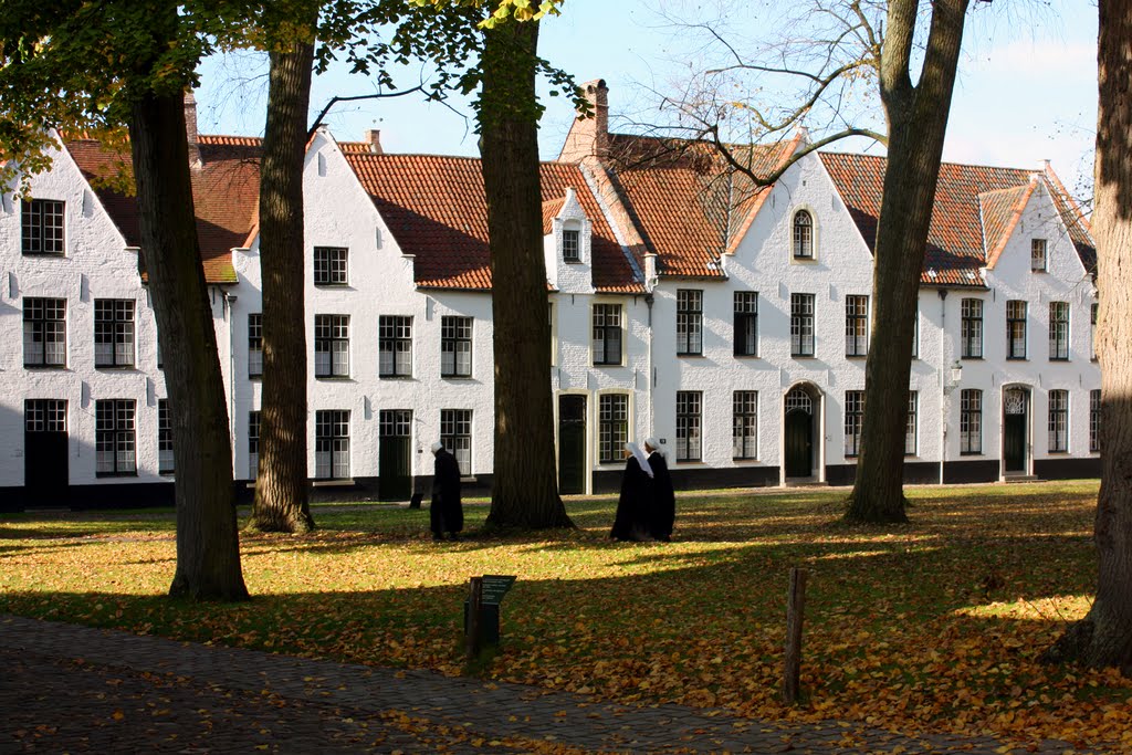 Oase der Ruhe im Trubel der Stadt