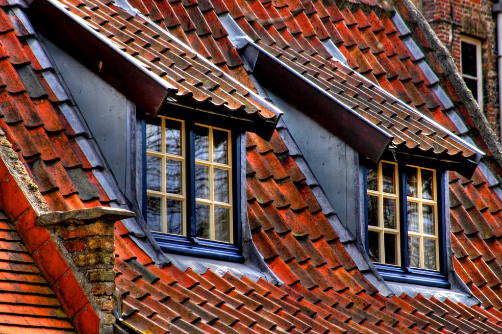 20060405 Brujas