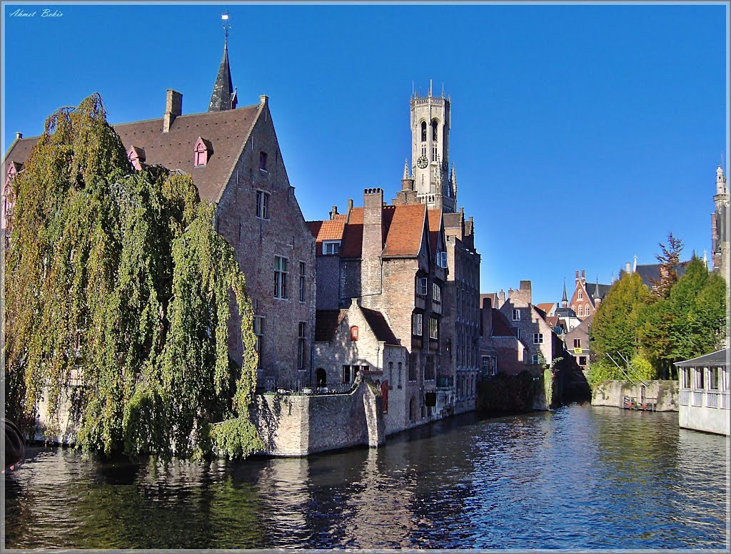 Postcard from Brugge, Belgium