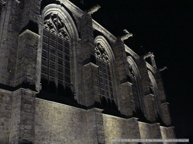 Mons, la Collègiale