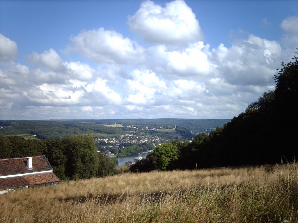 Maasvallei