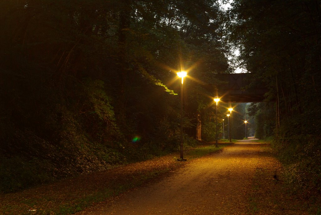RAVEL By Night