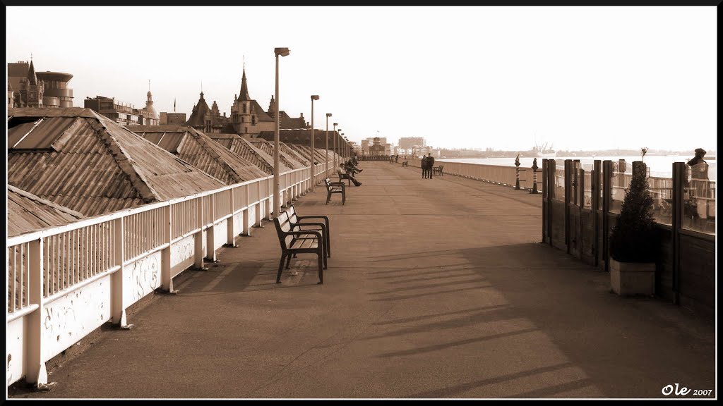 Schelde Promenade [Antwerpen 2007/04]