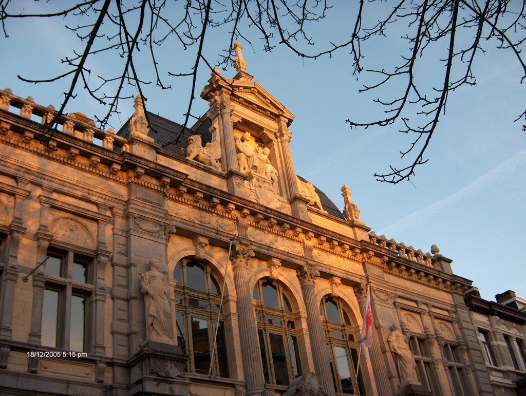 Mooie gevel van de Tolkenschool aan de Schilderstraat in Antwerpen (Trudi)