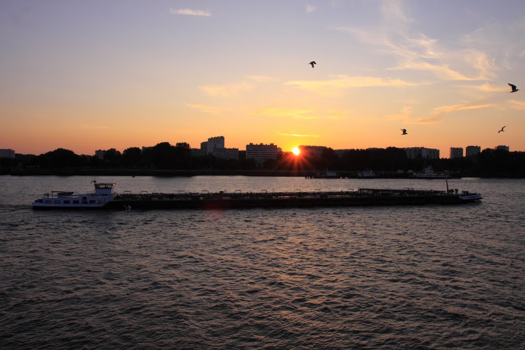 shining evening