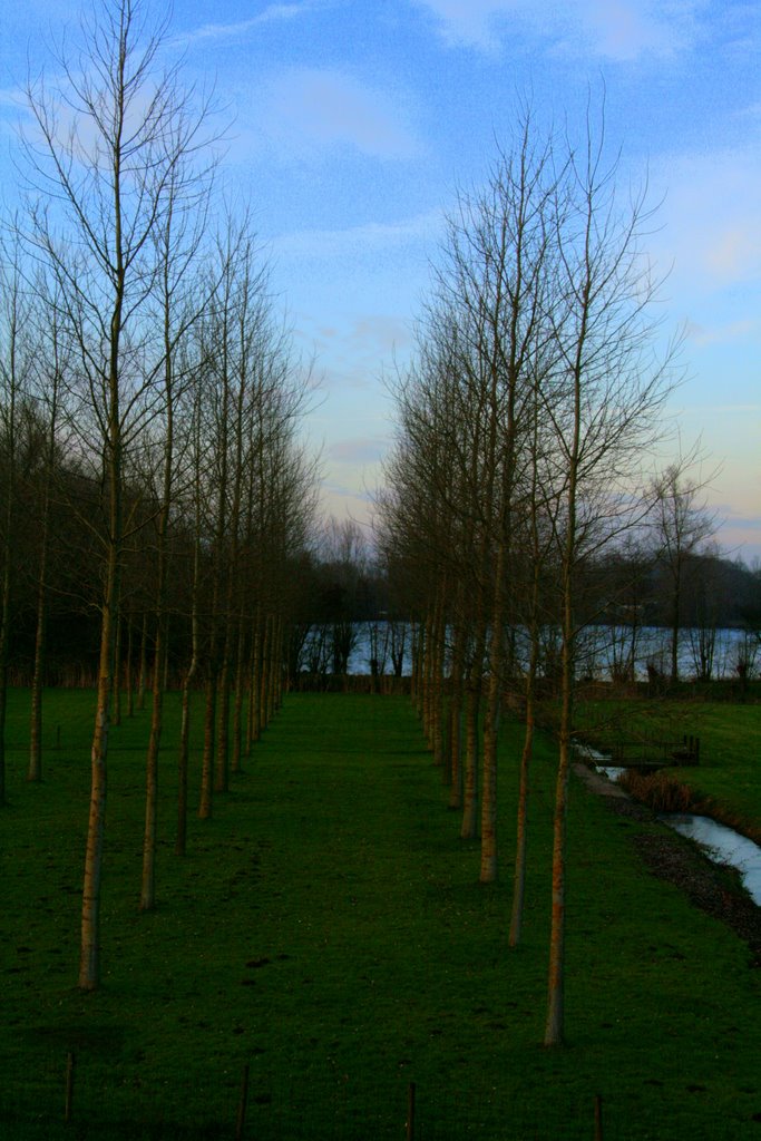 View towards damvalleimeer