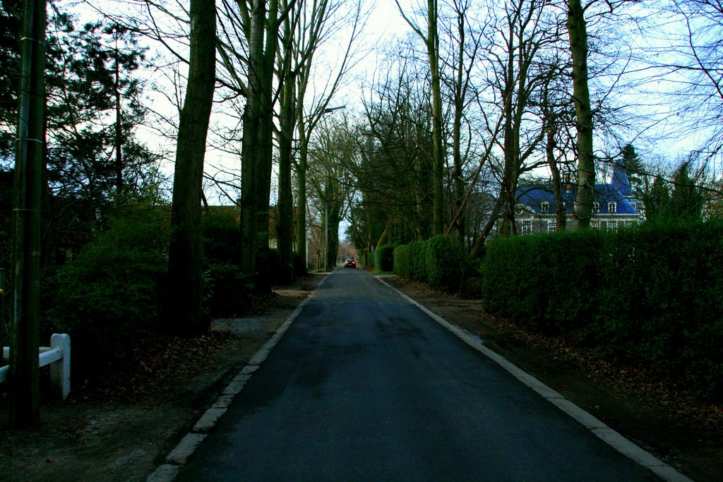 Wellingstraat
