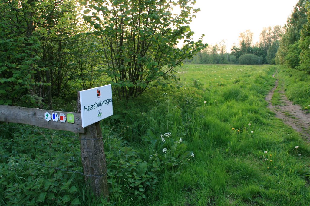 Damvalleimeer