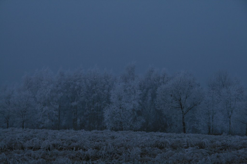 Whiteness