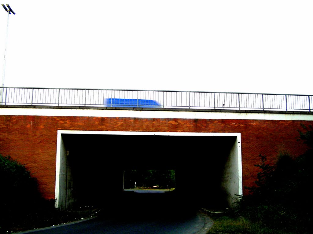 The bridge
