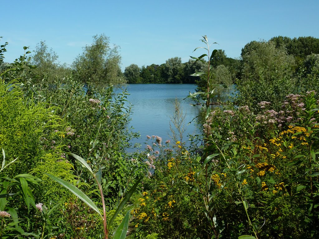 Damvalleimeer in de zomer
