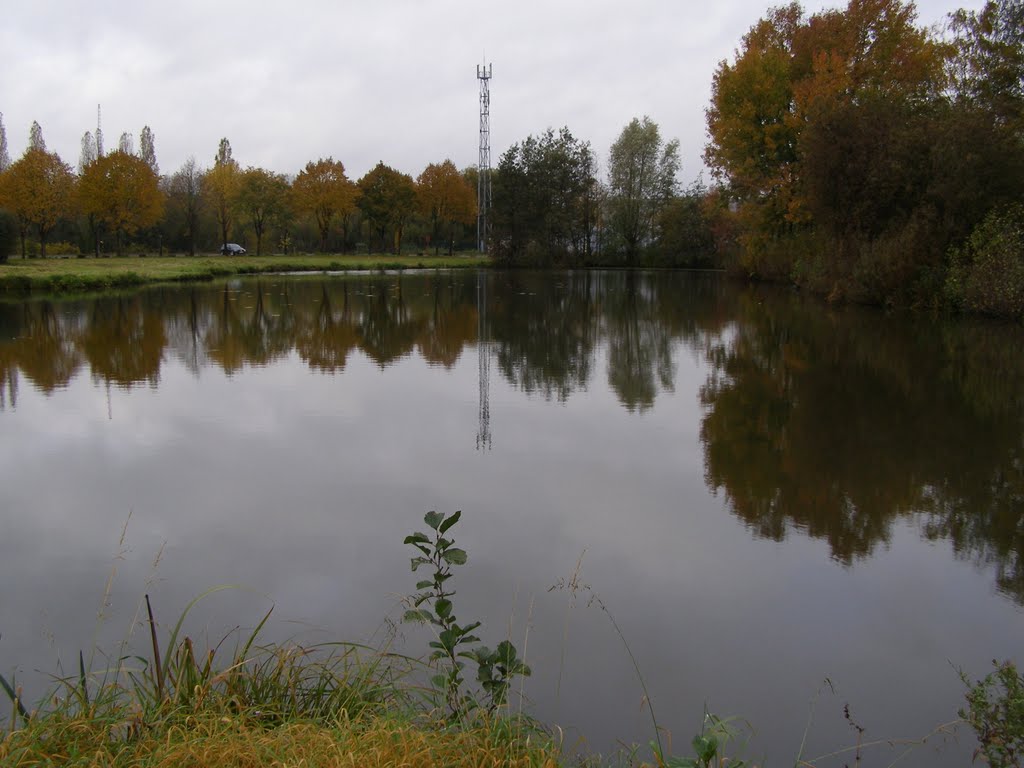 a pond near Destelbergen