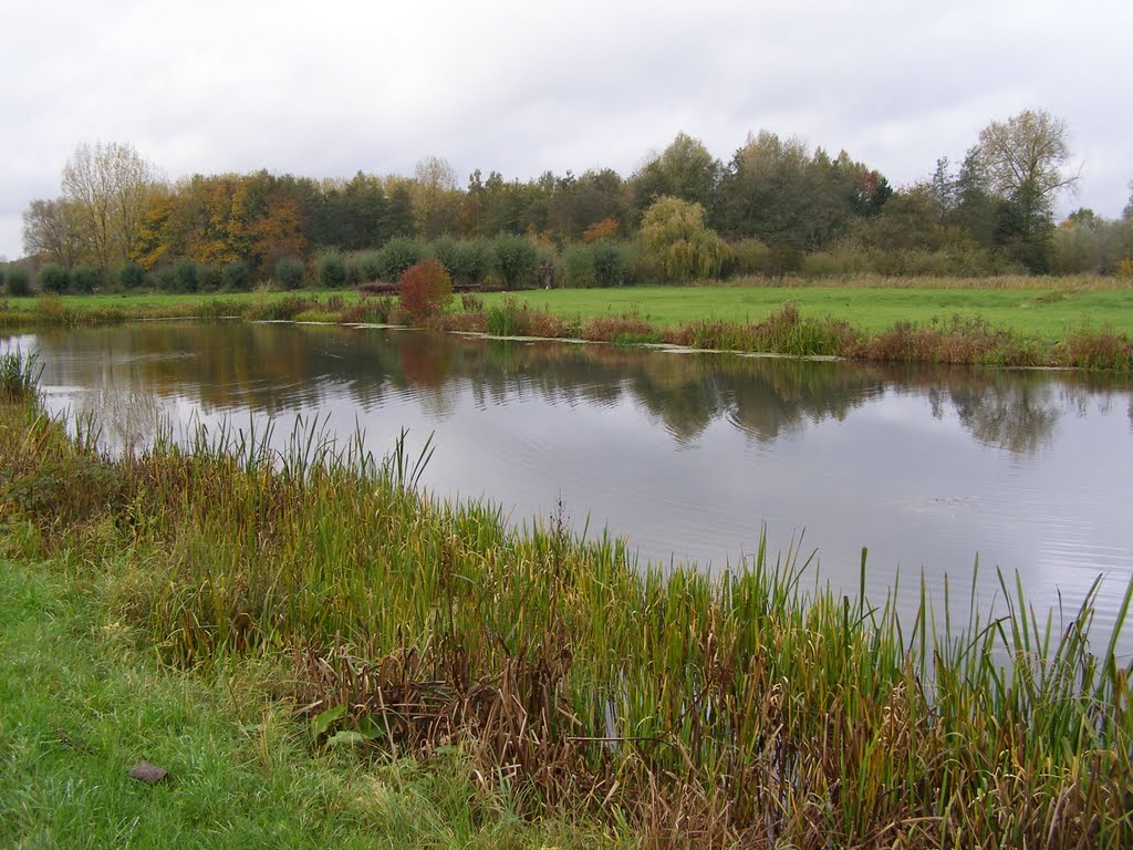 a pond near Destelbergen