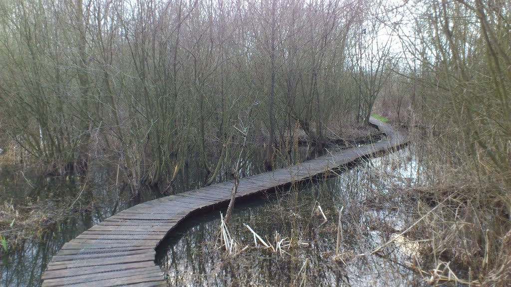 Hoog water