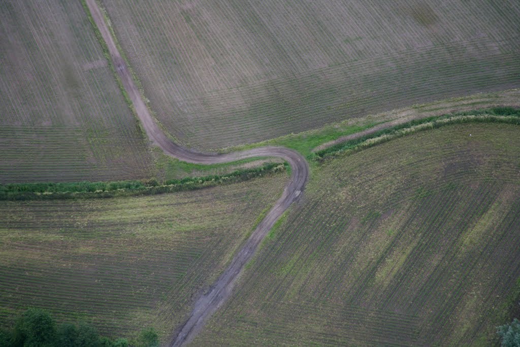 Laarne, Oost-Vlaanderen, België