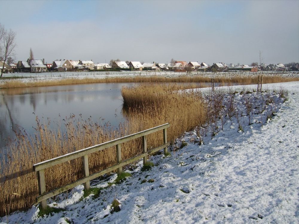 24/01/07 - Kortemark - Stationsvijver