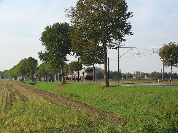 Kortemark