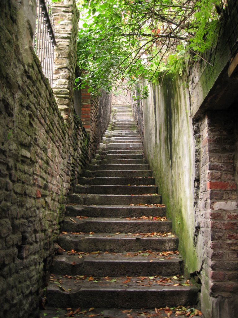 Liège - vers les coteaux de la Citadelle