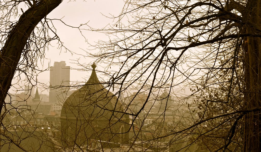 Liege dans la brume