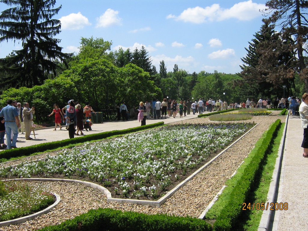 Public holiday 24 May, Dobrich, Bulgaria, Public gardens