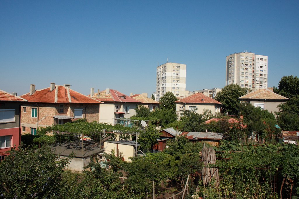 Dobrich