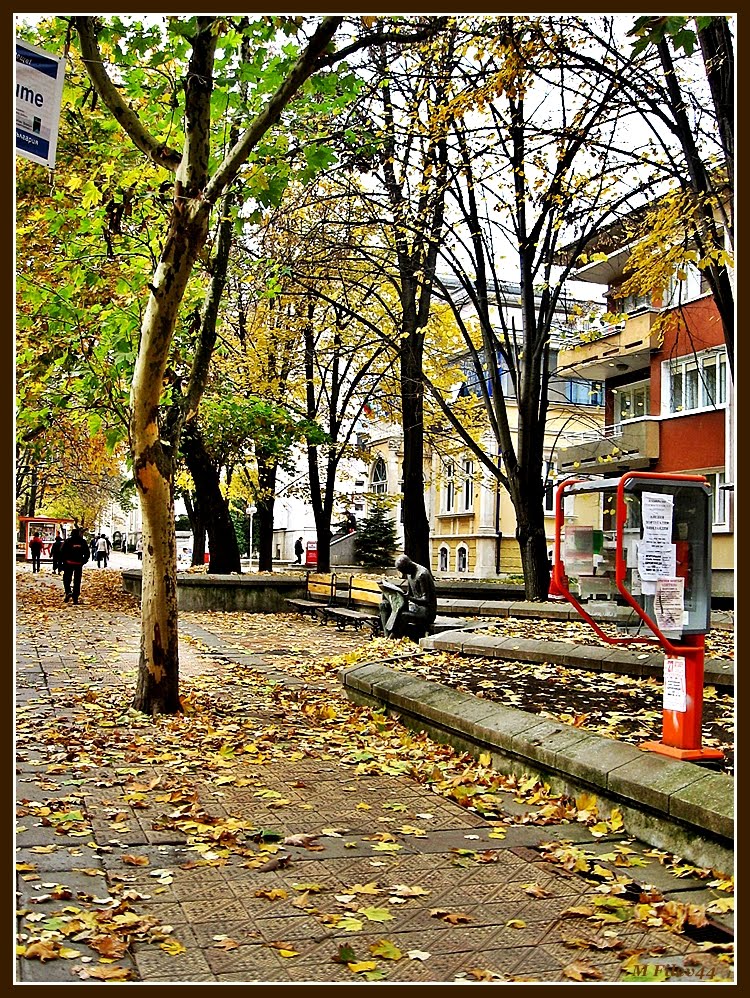 САМОТНИК