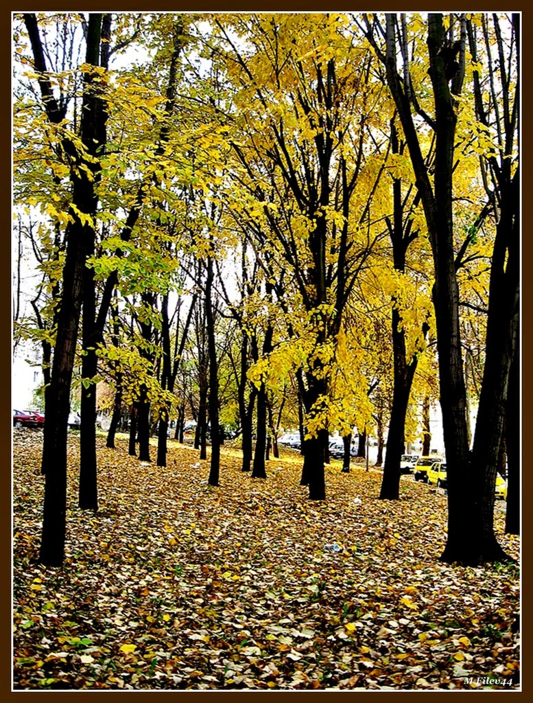 ЕСЕН.