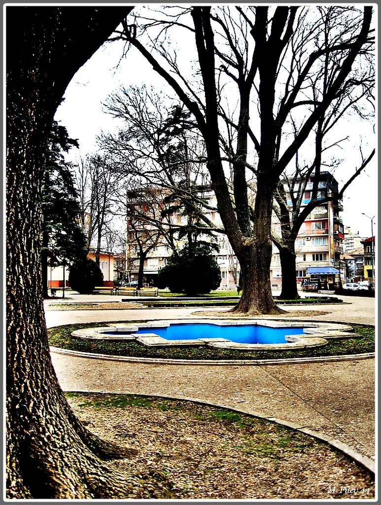 парка
