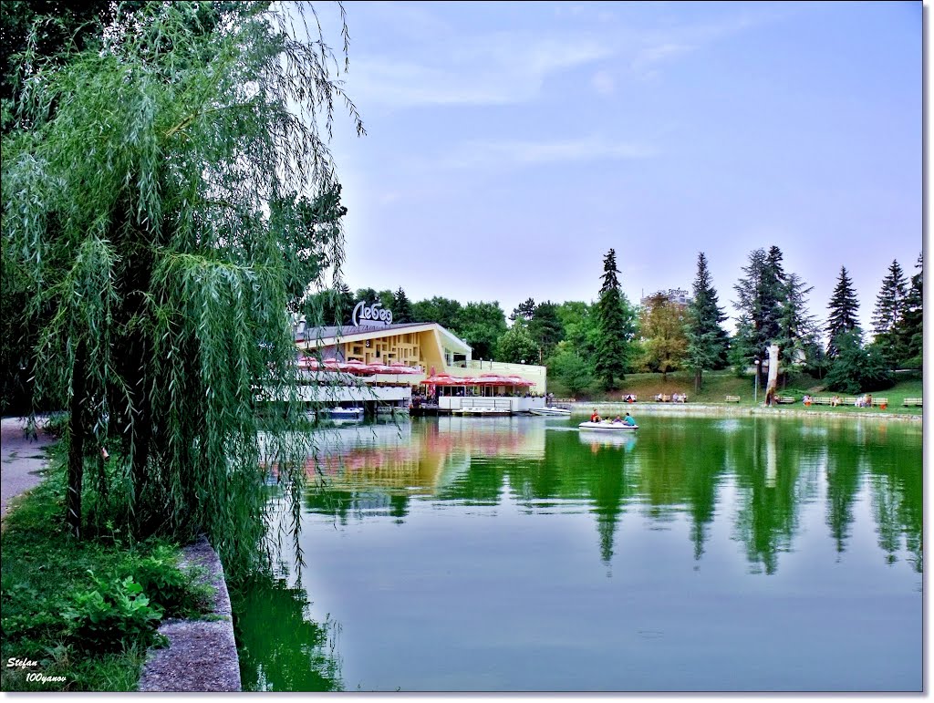 The lake and restaurant "Swan" / Езерото и ресторант "Лебед"