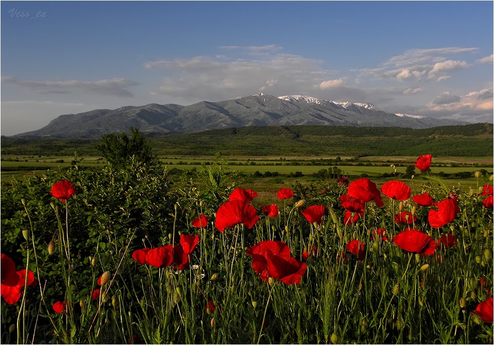 Boboshevo, Bulgaria