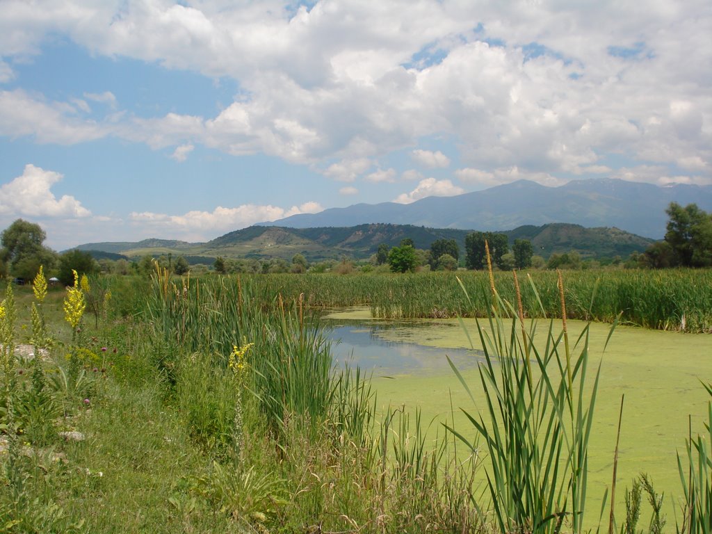 blatata krai kocherinovo