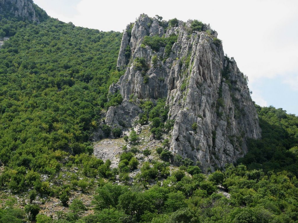 Vracanski Balkan