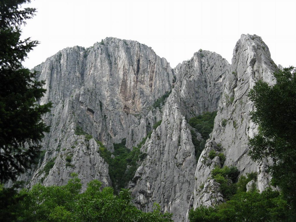 Vracanski Balkan