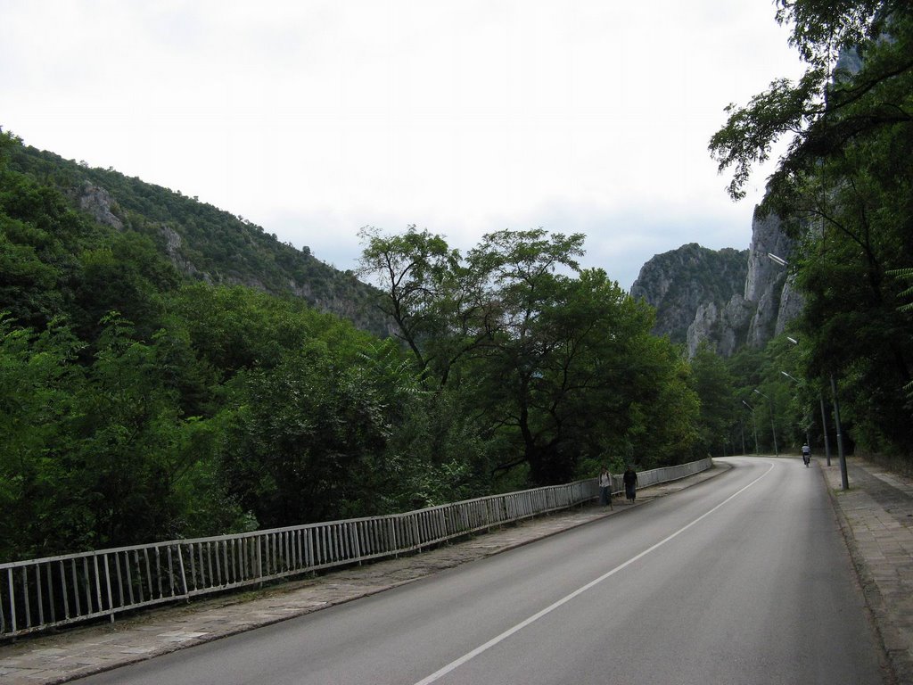 In defileul Vratsata