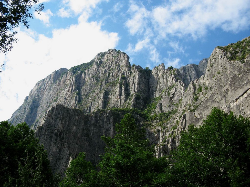 Crestele muntilor Vracanski Balkan