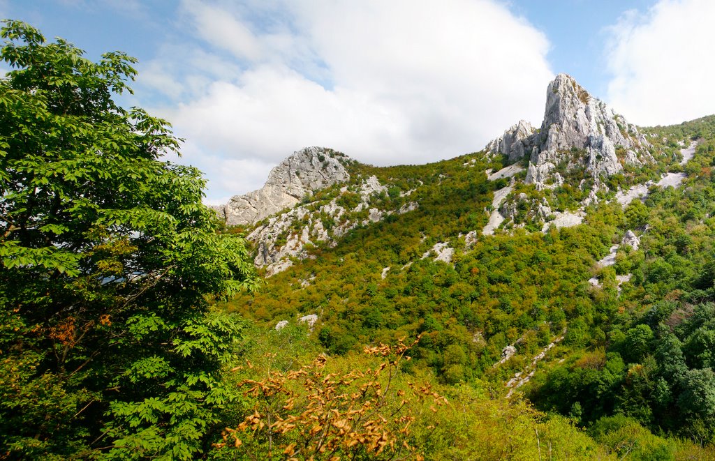 Panorama