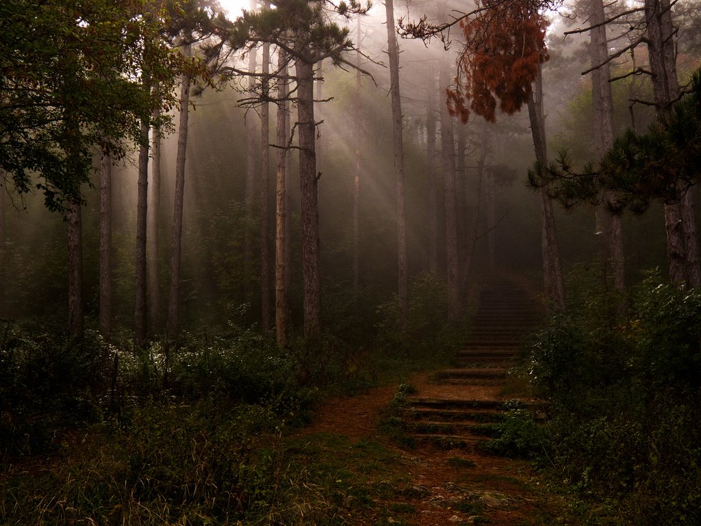 Myst