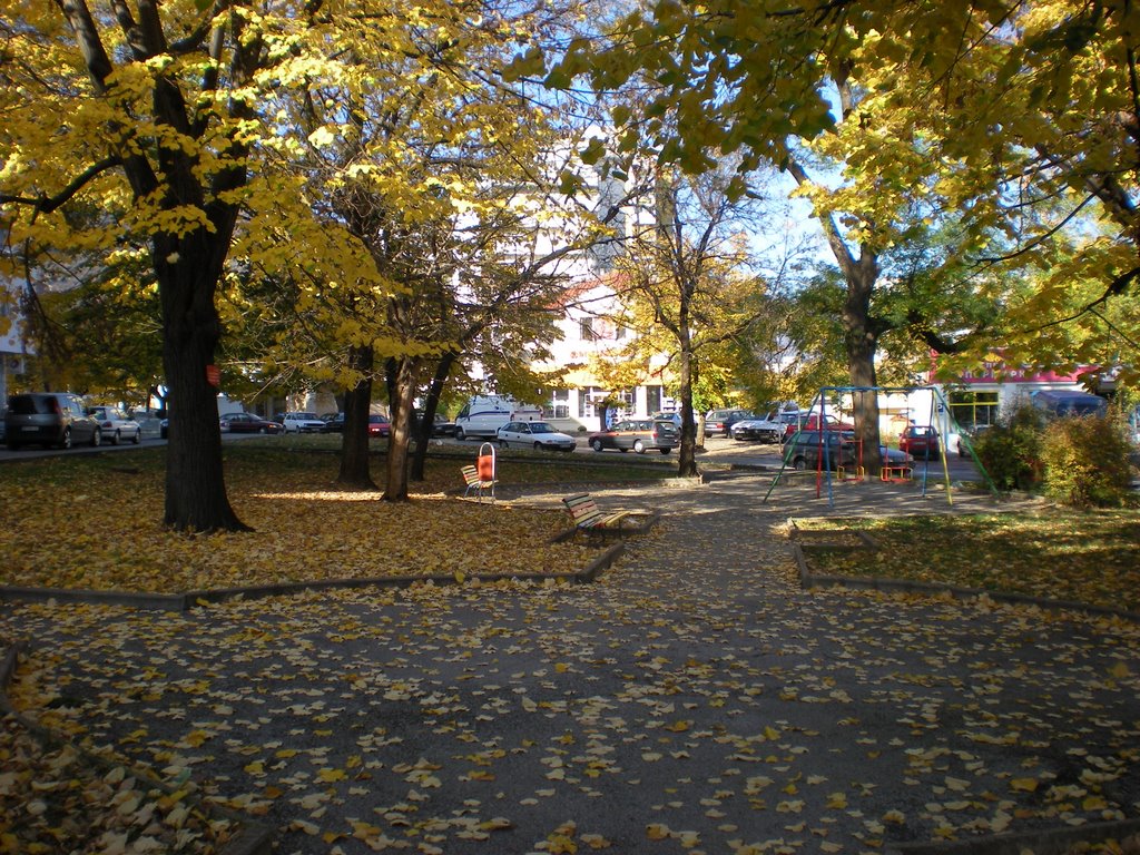 Golden Autumn in Vratza