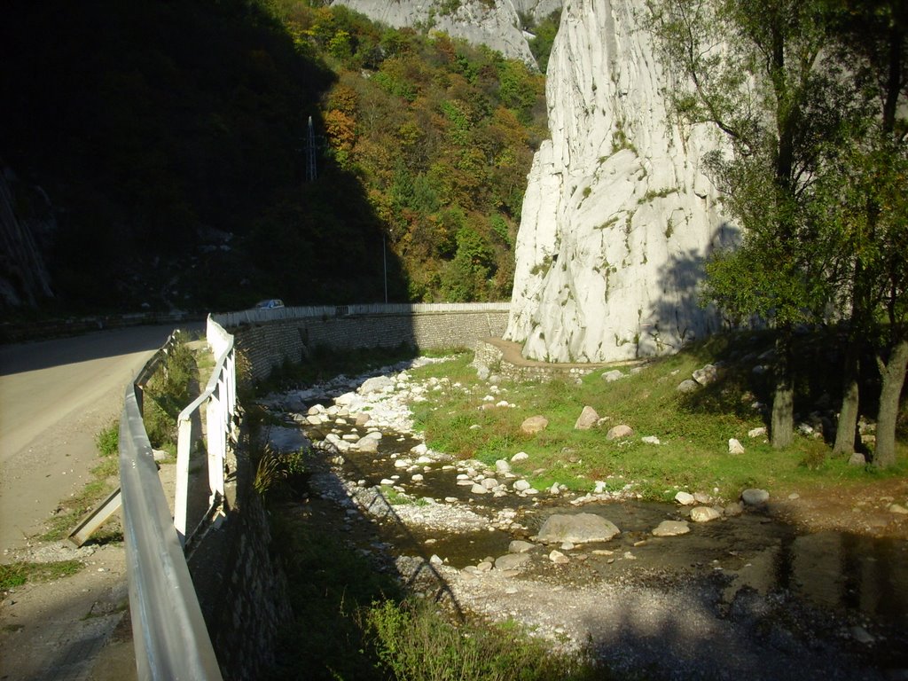 Река Лева   Leva River