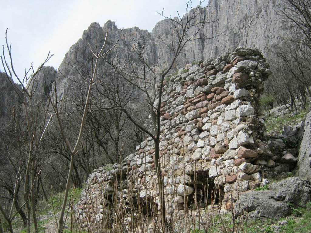 Останки от крепостна  стена   Remains of wall
