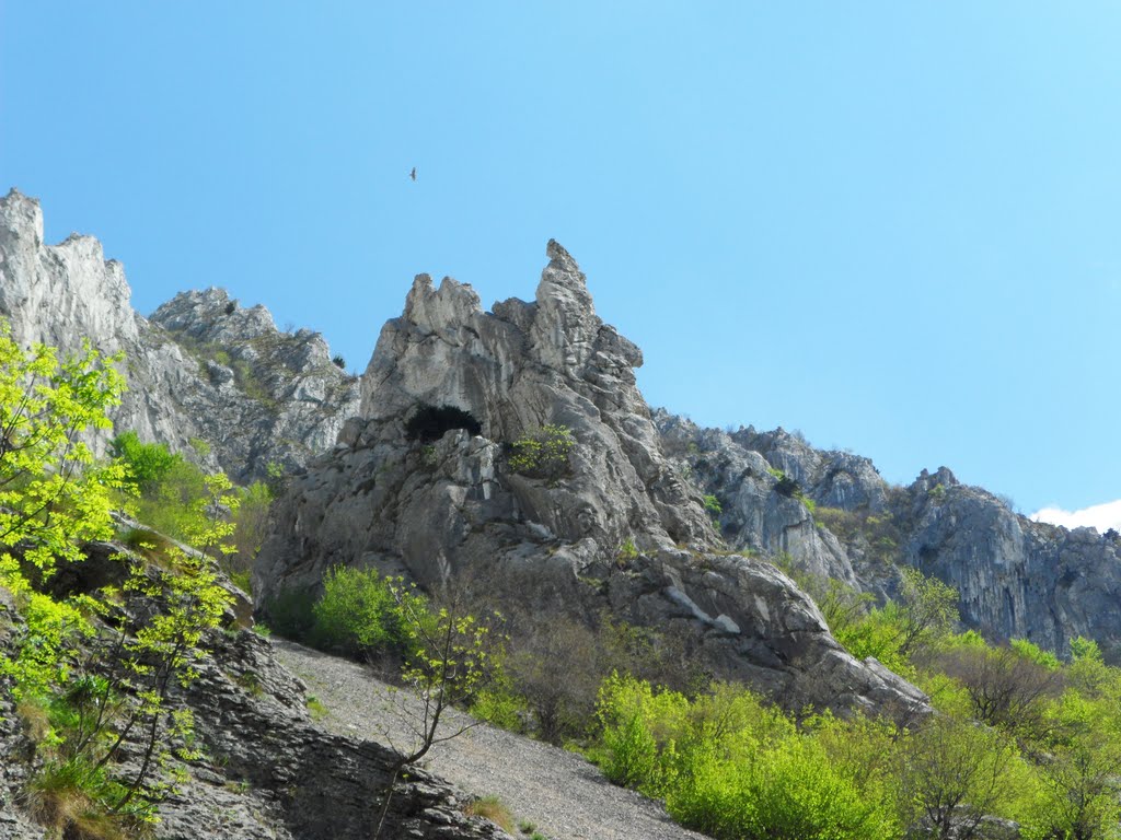 Медковски дол