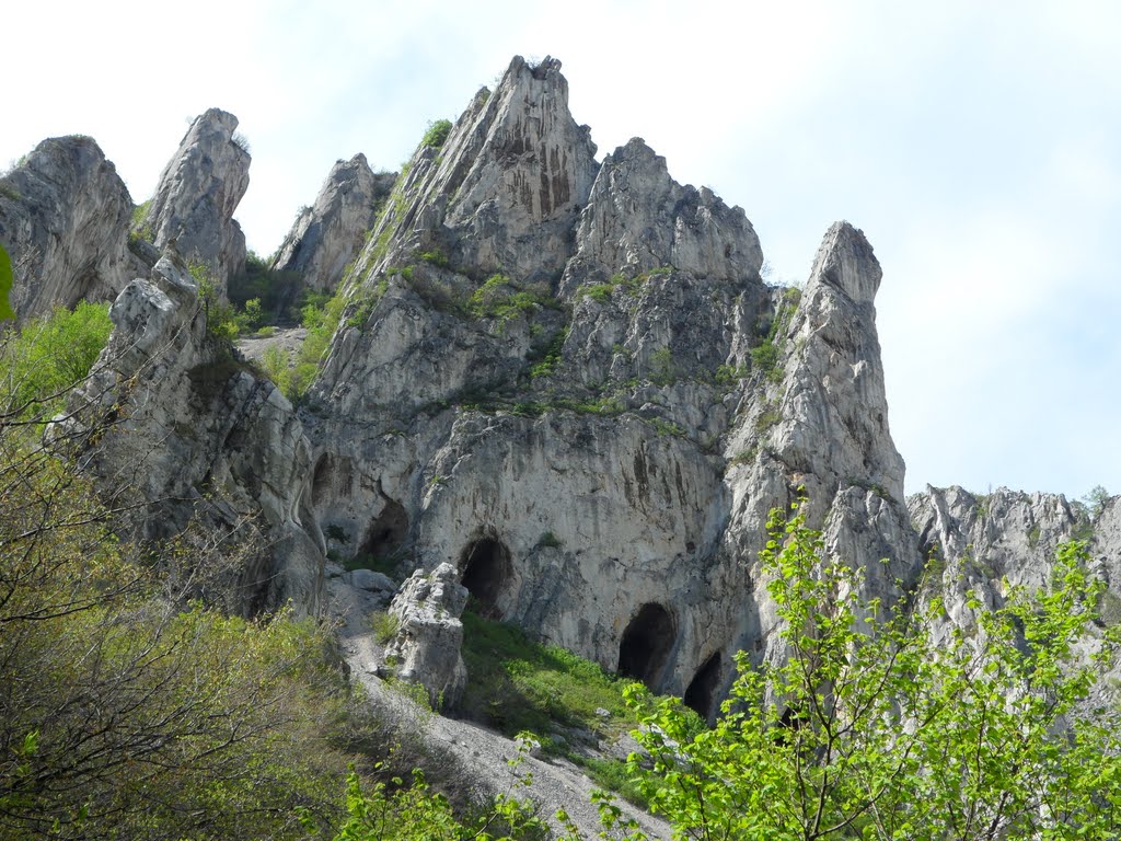 Медковски дол
