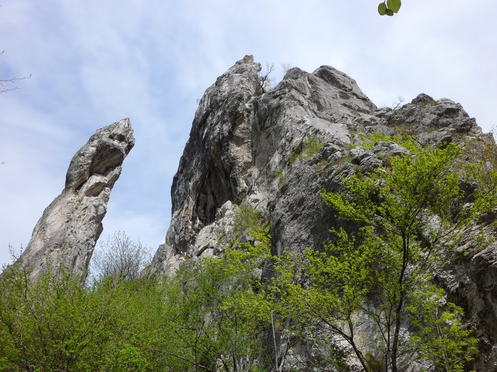 Медковски дол